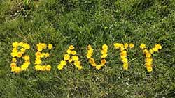 beauty, grass